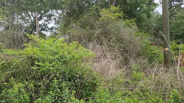 Lot 10 B53 Sweetleaf Lane, Plantersville, TX 77363