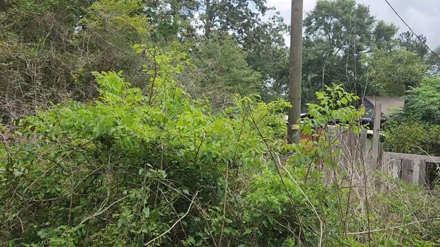 Lot 10 B53 Sweetleaf Lane, Plantersville, TX 77363