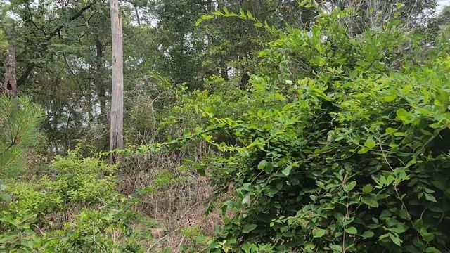 Lot 10 B53 Sweetleaf Lane, Plantersville, TX 77363