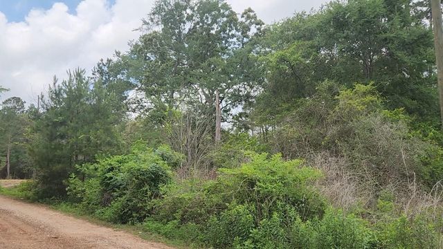 Lot 10 B53 Sweetleaf Lane, Plantersville, TX 77363