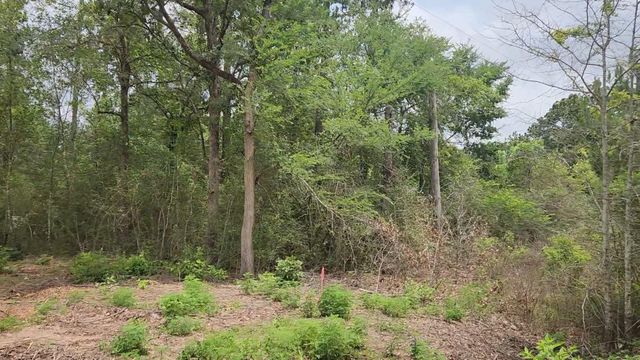Lot 10 B53 Sweetleaf Lane, Plantersville, TX 77363