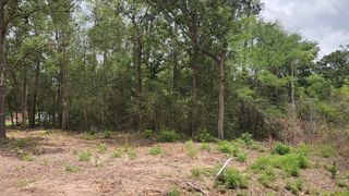 Lot 10 B53 Sweetleaf Lane, Plantersville, TX 77363