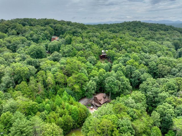 115 Fox Run Drive, Blue Ridge, GA 30513