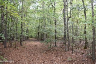 Tbd Sand Hills Road, Camden, NC 27921