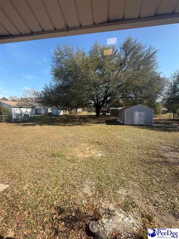 1521 E Home Ave, Hartsville, SC 29550