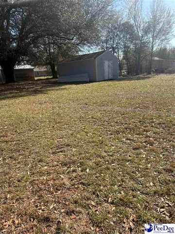 1521 E Home Ave, Hartsville, SC 29550