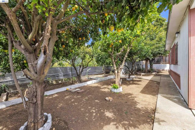 713 Falcon Drive, Vallejo, CA 94589