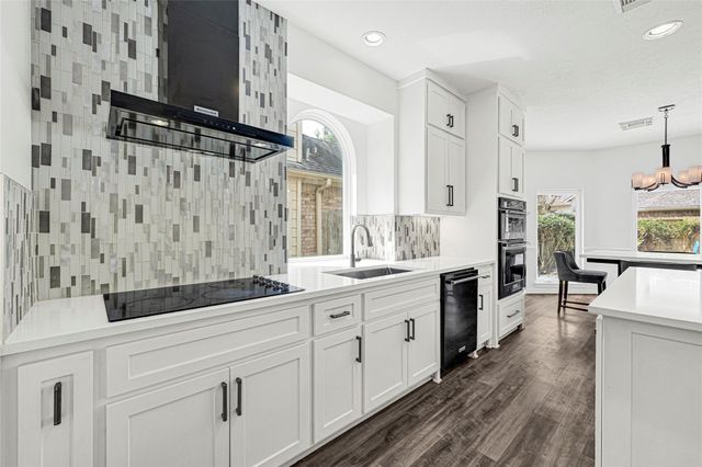 11207 Satin Tail Lane, Houston, TX 77095