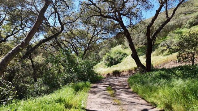 9237 Harmony Grove, Escondido, CA 92029