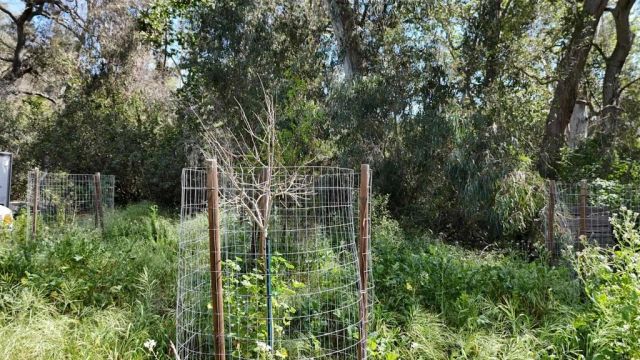 9237 Harmony Grove, Escondido, CA 92029