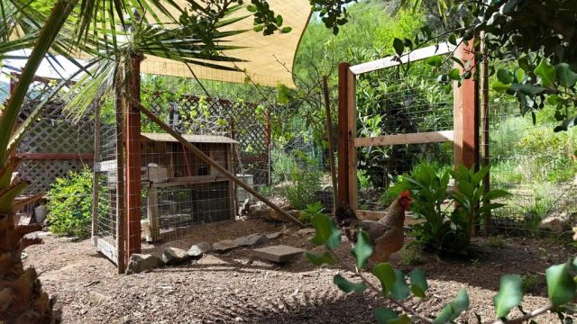 9237 Harmony Grove, Escondido, CA 92029