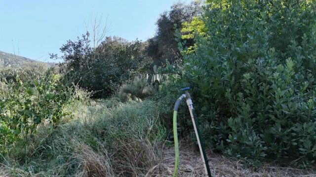 9237 Harmony Grove, Escondido, CA 92029