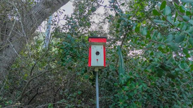 9237 Harmony Grove, Escondido, CA 92029