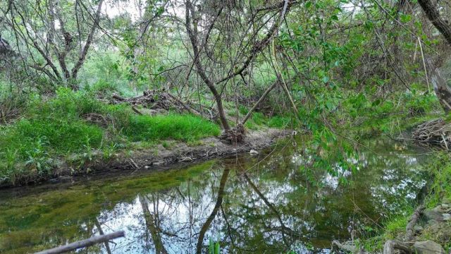 9237 Harmony Grove, Escondido, CA 92029