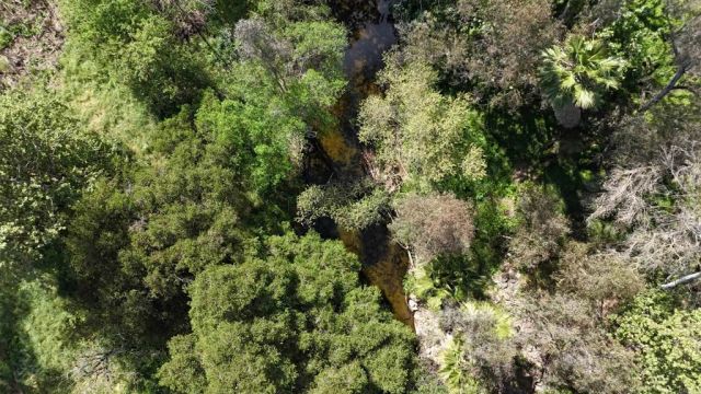 9237 Harmony Grove, Escondido, CA 92029