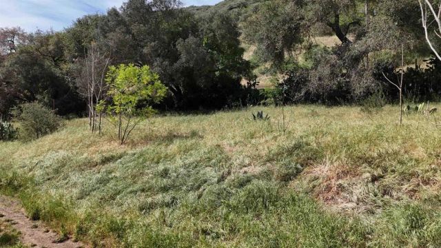 9237 Harmony Grove, Escondido, CA 92029