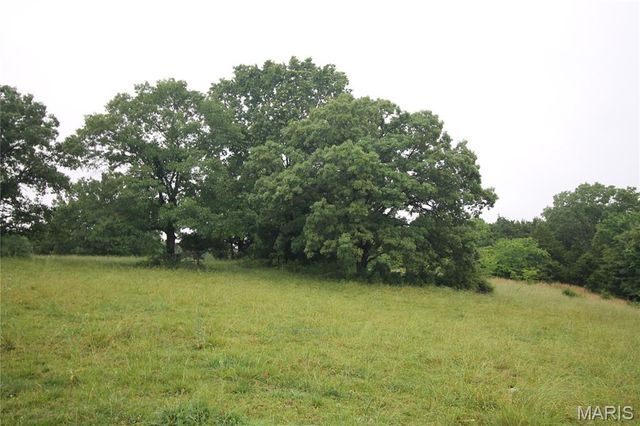 16292 Maries Road 303, Vienna, MO 65582