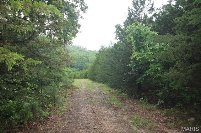 16292 Maries Road 303, Vienna, MO 65582