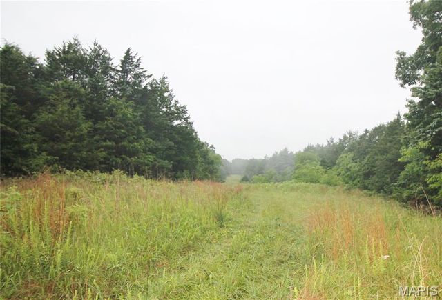 16292 Maries Road 303, Vienna, MO 65582