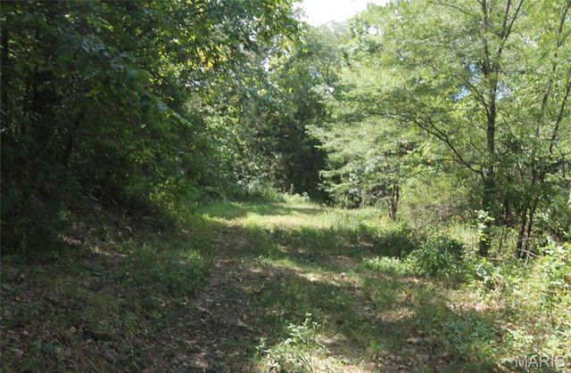 16292 Maries Road 303, Vienna, MO 65582