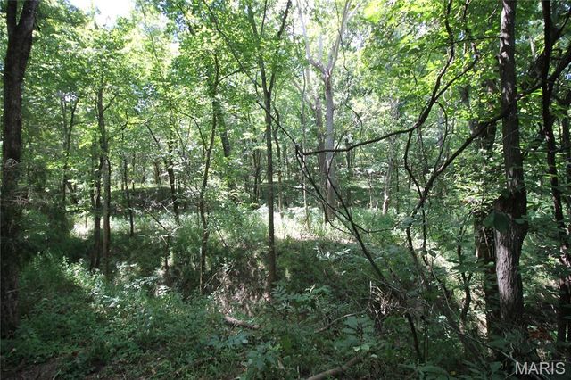 16292 Maries Road 303, Vienna, MO 65582