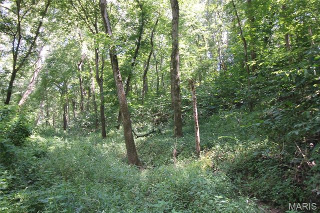 16292 Maries Road 303, Vienna, MO 65582