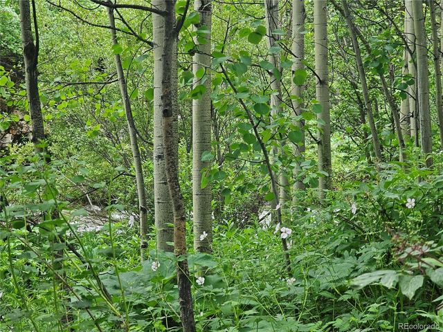 22494 County Rd 227, Salida, CO 81201