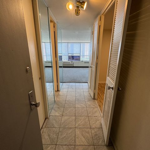 4800 S Chicago Beach Drive 709S, Chicago, IL 60615