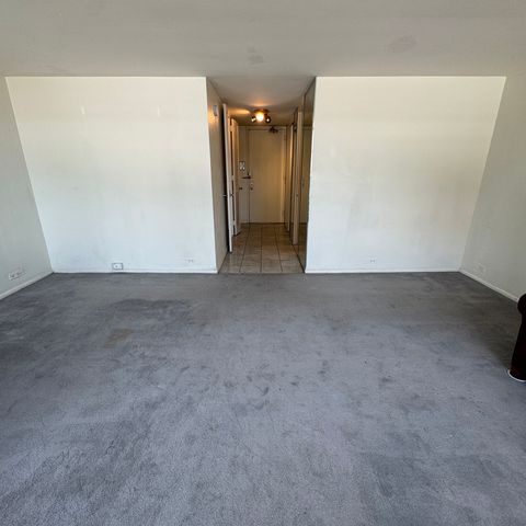 4800 S Chicago Beach Drive 709S, Chicago, IL 60615