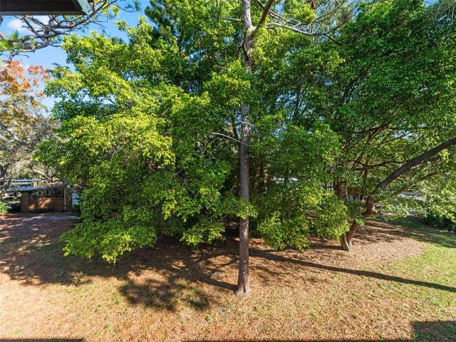 1008 LENNOX ROAD W, Palm Harbor, FL 34683