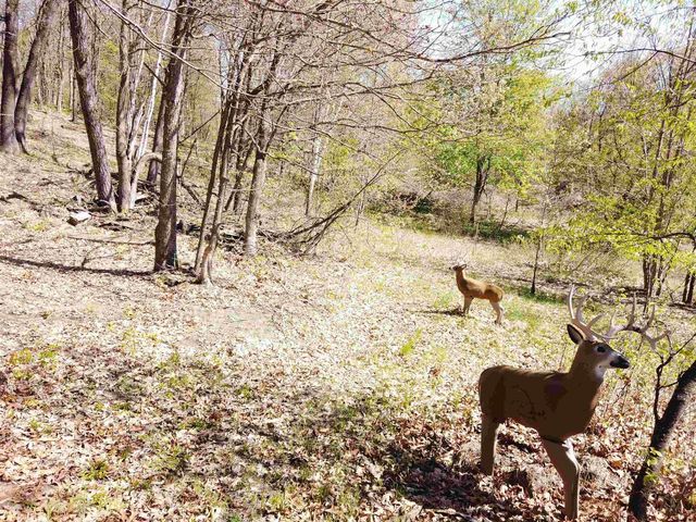 17511 Havenwood RD Road, Sparta, WI 54656