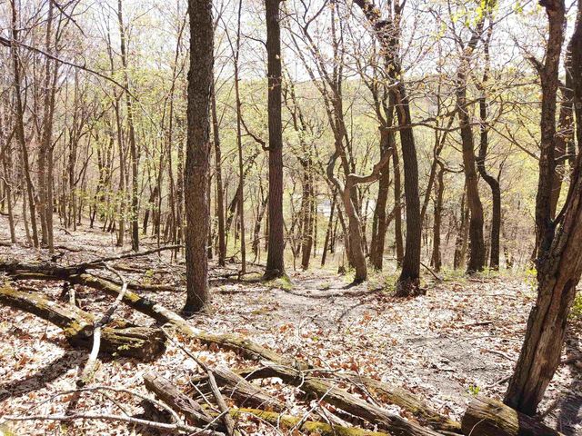 17511 Havenwood RD Road, Sparta, WI 54656