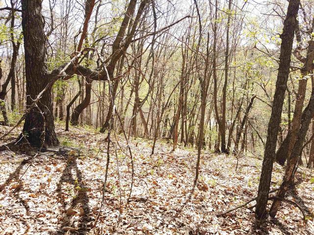 17511 Havenwood RD Road, Sparta, WI 54656