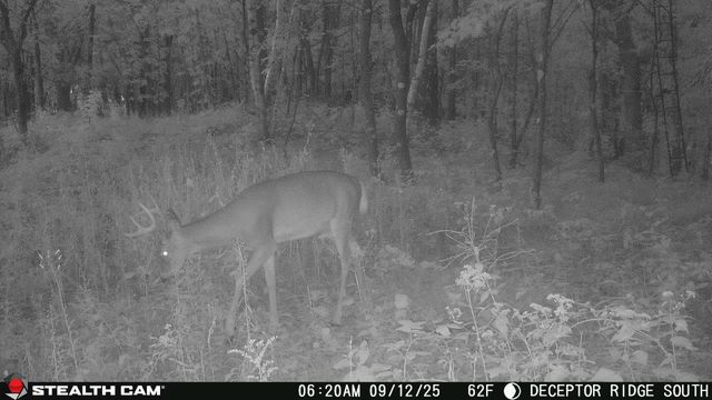 17511 Havenwood RD Road, Sparta, WI 54656