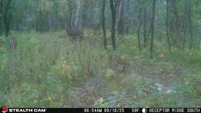 17511 Havenwood RD Road, Sparta, WI 54656