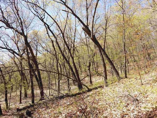 17511 Havenwood RD Road, Sparta, WI 54656
