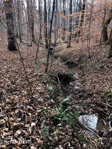 235 Sparta St, Spencer, TN 38585