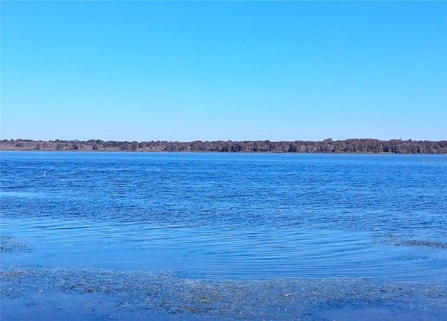 4192 CR 400, Lake Panasoffkee, FL 33538