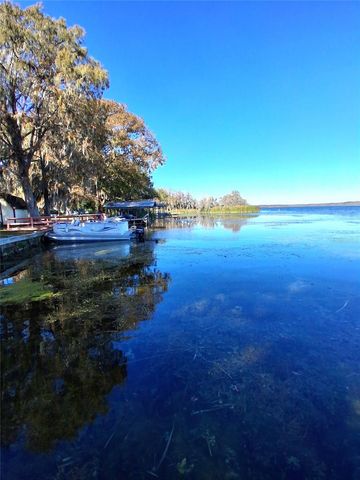 4192 CR 400, Lake Panasoffkee, FL 33538