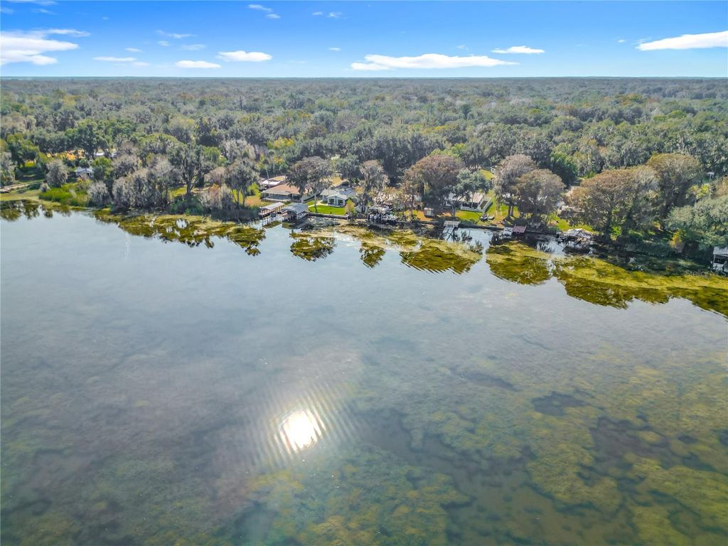 4192 CR 400, Lake Panasoffkee, FL 33538