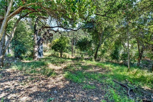 7006 E Highway 20, Lucerne, CA 95458