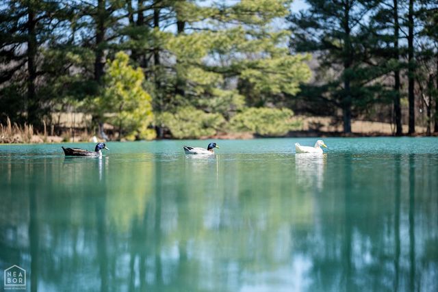 4851 County Road 745, Jonesboro, AR 72405