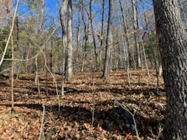 1918 Creekstone Lane, Young Harris, GA 30582