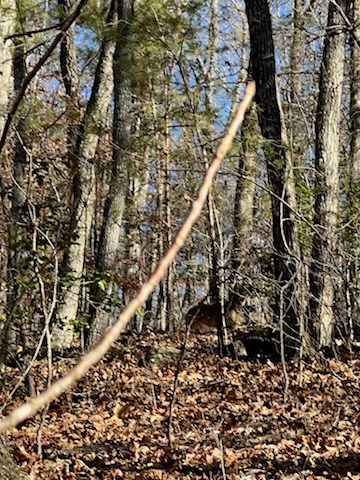 1918 Creekstone Lane, Young Harris, GA 30582