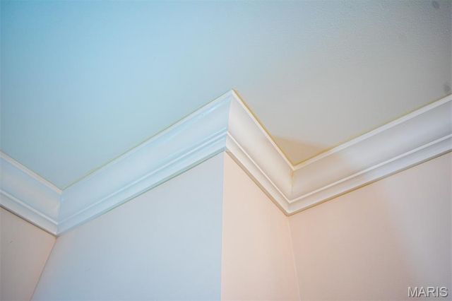 1228 EAGLES CREST Lane, St Charles, MO 63303