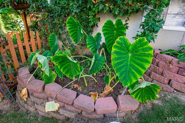 1228 EAGLES CREST Lane, St Charles, MO 63303