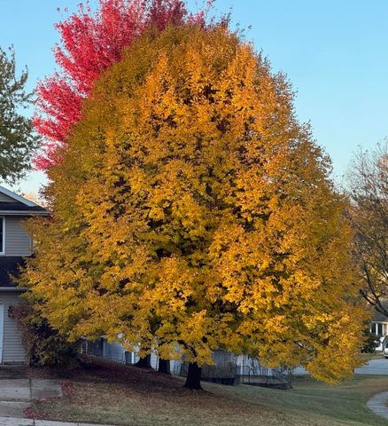 1784 Park Ridge Drive, Coralville, IA 52241