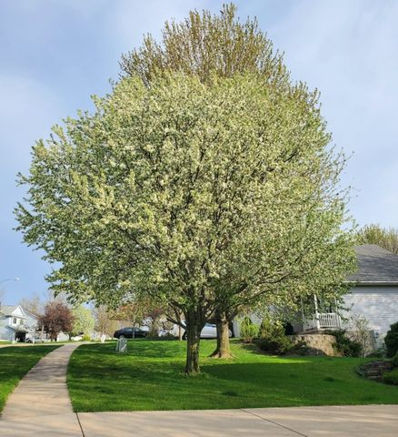 1784 Park Ridge Drive, Coralville, IA 52241