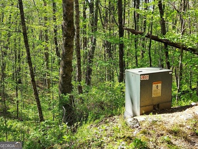 0 LOT 40 Pipetrack Gap Road, Scaly Mtn, NC 28775