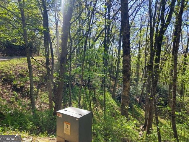 0 LOT 40 Pipetrack Gap Road, Scaly Mtn, NC 28775